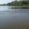 finnek 2011 011
